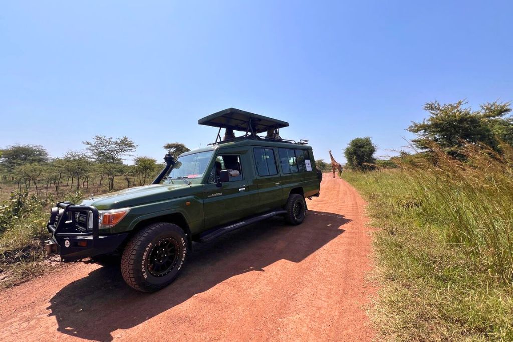 The Best Things To Do In Akagera National Park